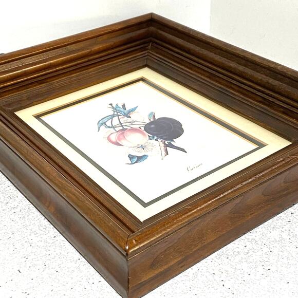 Botanical Lithograph Print Framed in Shadowbox Deep Walnut Solid Wood Frame - Picture 5 of 8